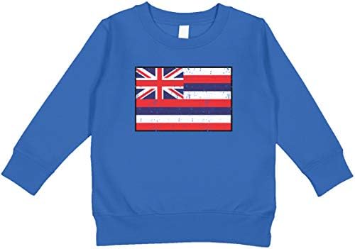 Државно знаме на Амдеско на Хаваи Хавајско знаме за дете на дете