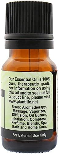 Есенцијално масло од ароматерапија со лисја од лисја на заливот - директно од растението чиста терапевтска оценка - без