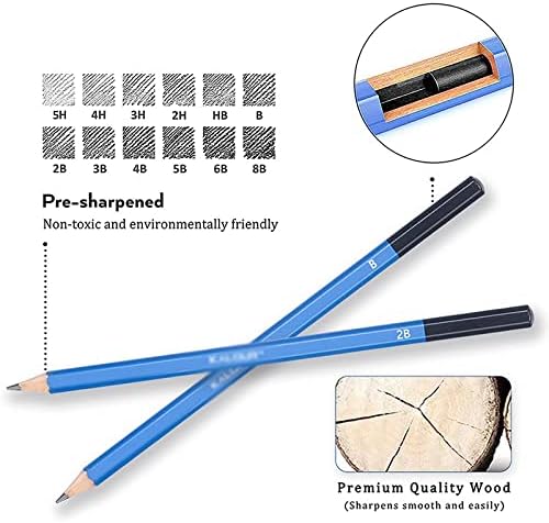 FZZDP 60PCS/Поставете професионален скица молив со јаглен од јаглен од дрвена кутија алатки за скици од дрвени поставени уметнички