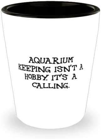 Единствена идеја Аквариум чувајќи пукано стакло, чувањето на аквариумот не е хоби. Тоа е повик, присутен за пријатели, loveубов