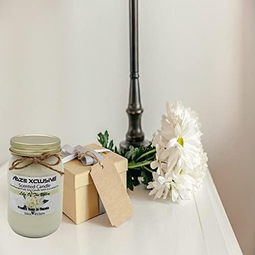 Naze Xclusive чиста соја восочна свеќа, 16 мл, миризлива свеќа со есенцијални масла, мириси на ароматерапија за мажи и