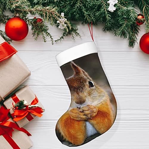 Yilequan 18 инчи Божиќни чорапи класични чорапи, смешна верверица, за семејни празници Божиќни забави украси