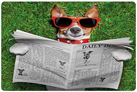 Лунарна Смешна Подлога За Миленичиња За Храна И Вода, Весник За Читање Кучиња И Релаксирање На Трева Во Паркот Интелектуална