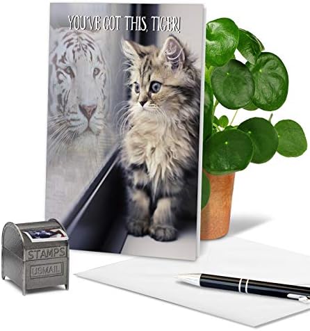 Најдобра компанија за картички - Инспиративна картичка за охрабрување со плик - слатка мачка, мотивација на животни од тигар,