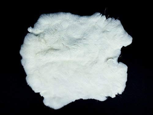 Реал Рекс Зајак 1 Бело: Големина На Кожата Од Лушпа Скријте 11 нуклосет